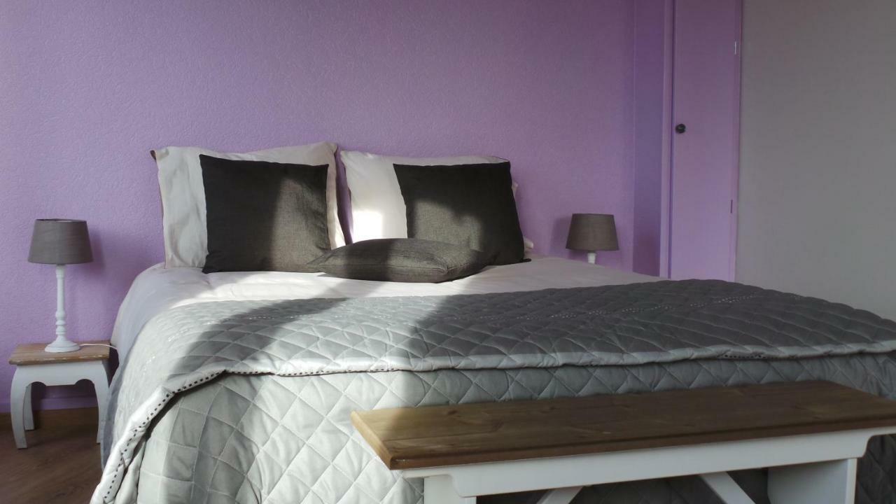 Studios Etape Du Lac บูร์บง-ล็องซี ภายนอก รูปภาพ